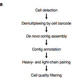 mmw_lmw's tweet photo. #BCR_Repertoire Analysis | Massively parallel single-cell B-cell receptor sequencing #scBCRseq | Somasekar Seshagiri @genentech @biorxivpreprint https://t.co/4G6uXExDmp https://t.co/5Aia8AOwcv