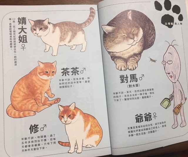 tsushimacat's tweet photo. 台灣的諸位，初次見面。我是對大哥。
我的書在台灣被推出。
請多關照。 https://t.co/sOPY1LjhPf