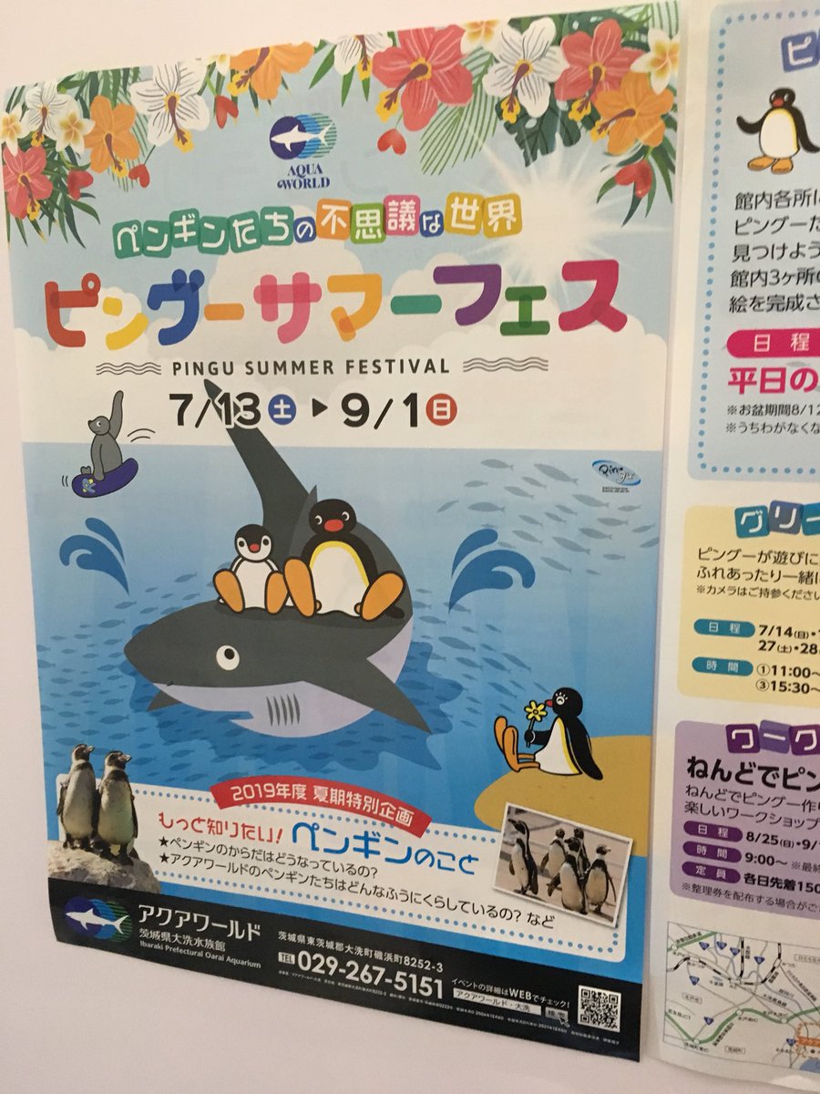 ピングー Twitter Search ピングー Twitter Search
