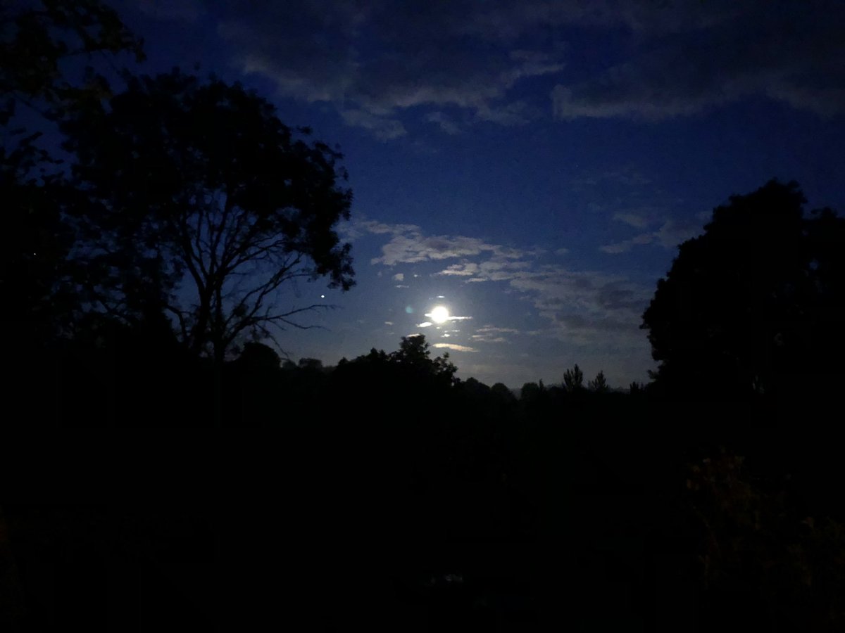 🌔🌔🌔 la lune veille sur les abeilles ❤️❤️❤️