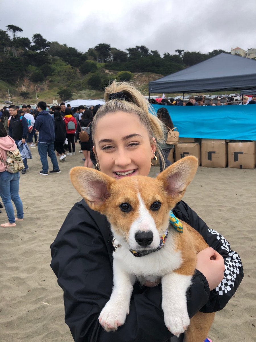 torivonberg's tweet image. so i hope these pictures make you as happy as i was today #corgicon 🤧❤️