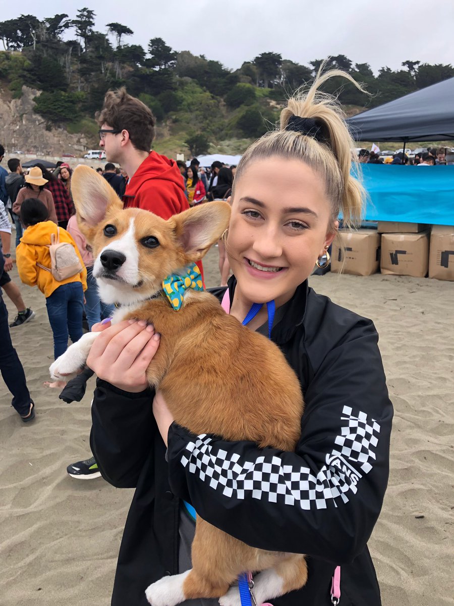 torivonberg's tweet image. so i hope these pictures make you as happy as i was today #corgicon 🤧❤️