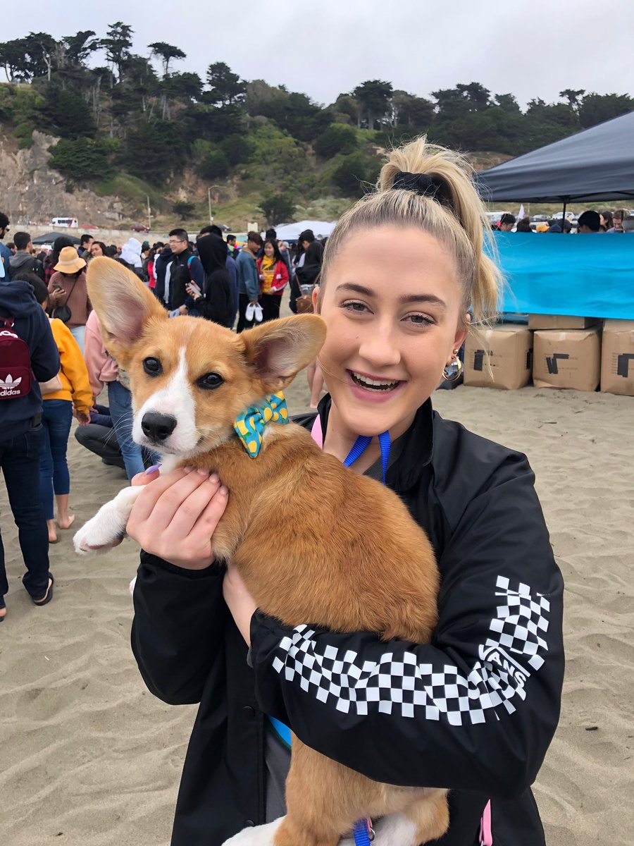 torivonberg's tweet image. so i hope these pictures make you as happy as i was today #corgicon 🤧❤️