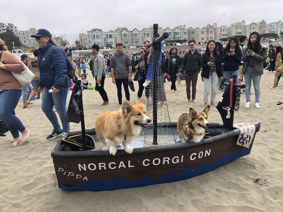 torivonberg's tweet image. so i hope these pictures make you as happy as i was today #corgicon 🤧❤️