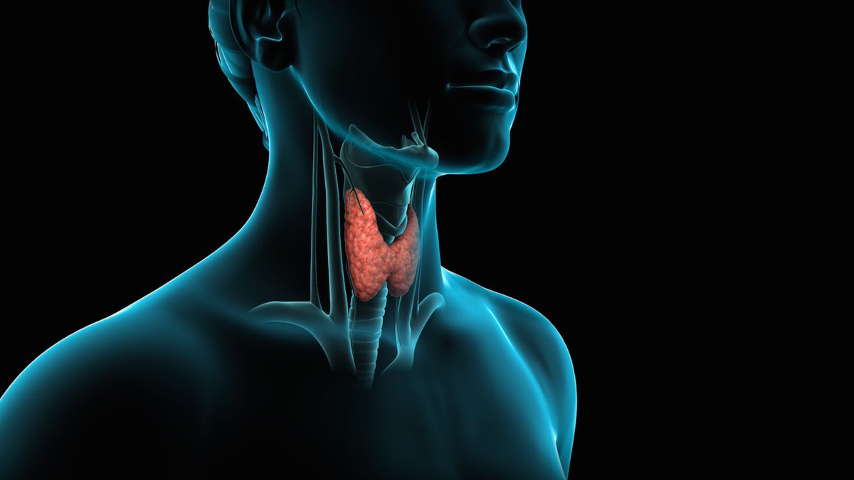 healthwebgr's tweet photo. Νέα τεχνική αφαίρεσης του θυρεοειδούς https://t.co/DthU70yyEF