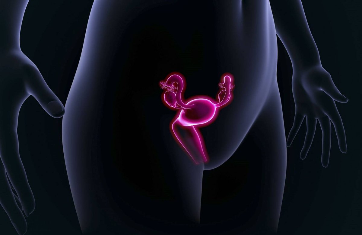 healthwebgr's tweet photo. Γυναικολογική αξιολόγηση με σαλπιγγογραφία και υπογονιμότητα https://t.co/Q8gsRNPtni