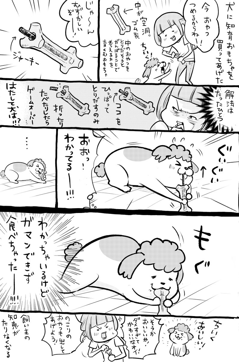 犬と猫どっちも飼ってると、あたらしいおもちゃで遊ばれるのも毎回楽しい。 