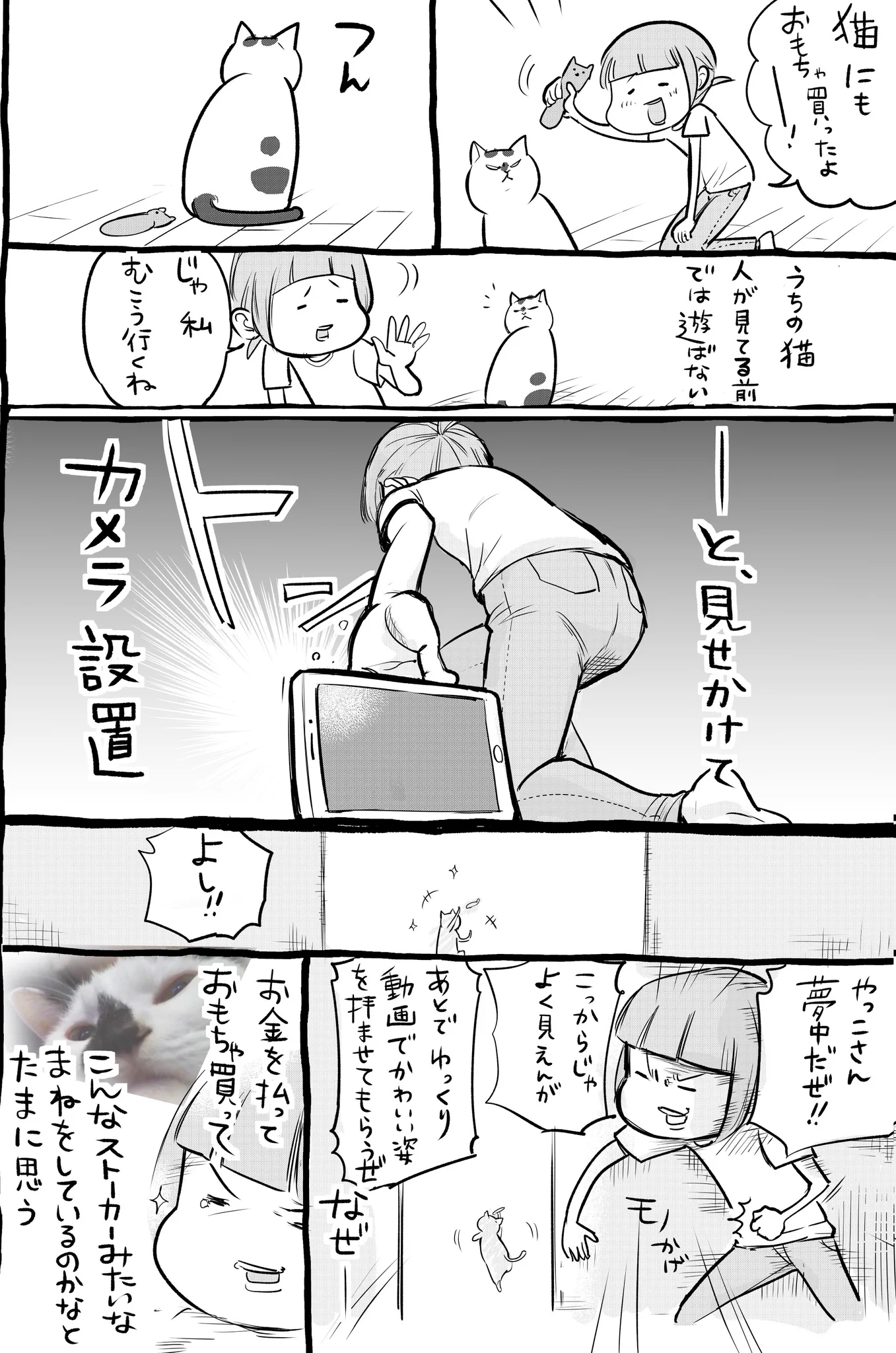犬と猫は新しいおもちゃへの反応も全然違って面白すぎるww