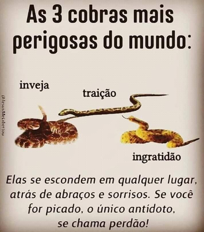 MariaLuciaS5's tweet photo. Bora vigia gente? https://t.co/WlaUn3r7zD