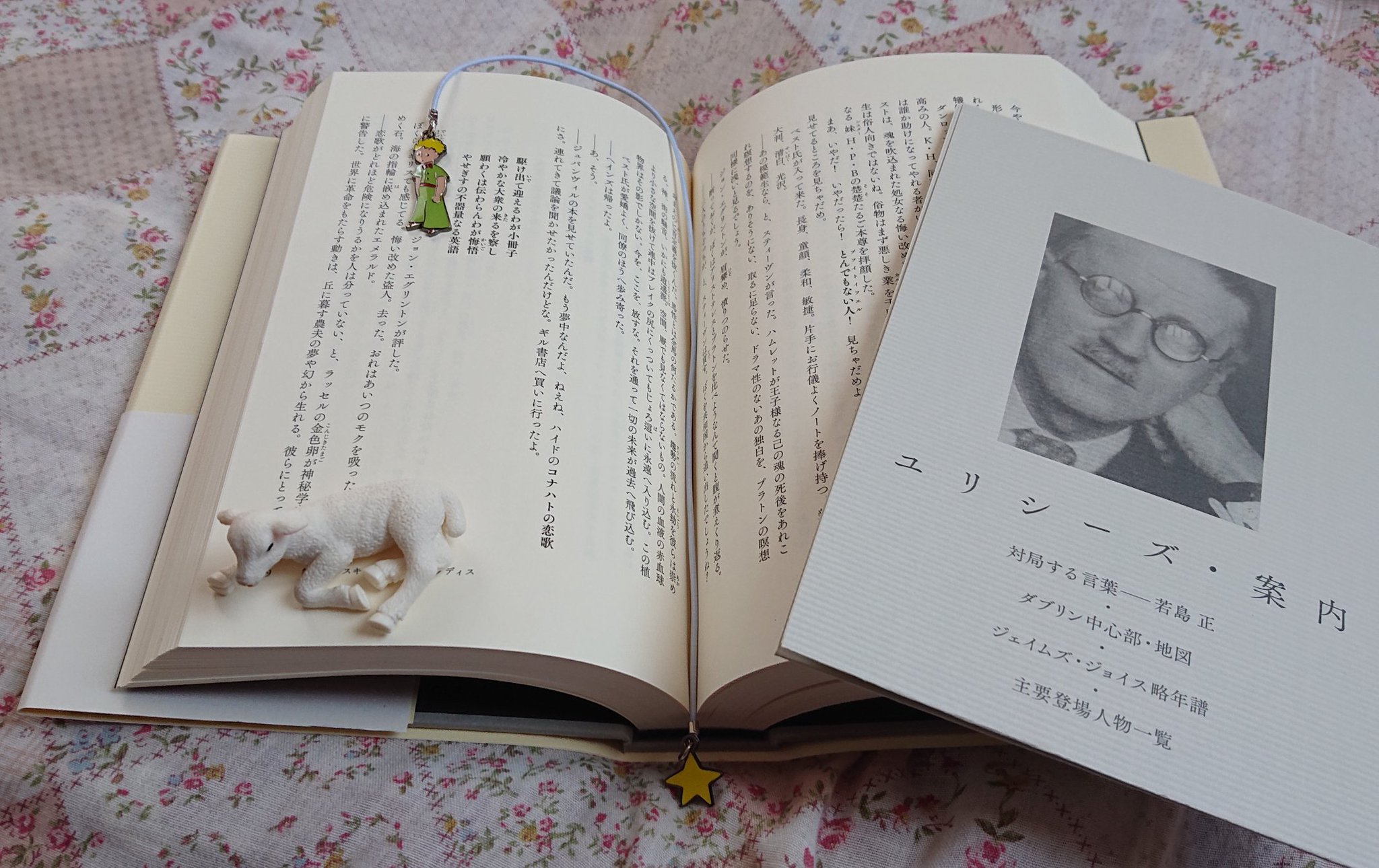 文箱の本箱 6 16はジョイスの日 ハッピーブルームズデー 早足の暖かな日差しがバークリー道路から駆けて来る 素早く ほっそりしたサンダル履きの足で 陽光の照らし始めた歩道を 駆ける おれを出迎えに走る娘 金髪を風になびかせて 文箱の本箱 6 16はジョイスの日 ハッピーブルームズデー 早足の暖かな日差しがバークリー道路から駆けて来る 素早く ほっそりしたサンダル履きの足で 陽光の照らし始めた歩道を 駆ける おれを出迎えに走る娘 金髪を風になびかせて