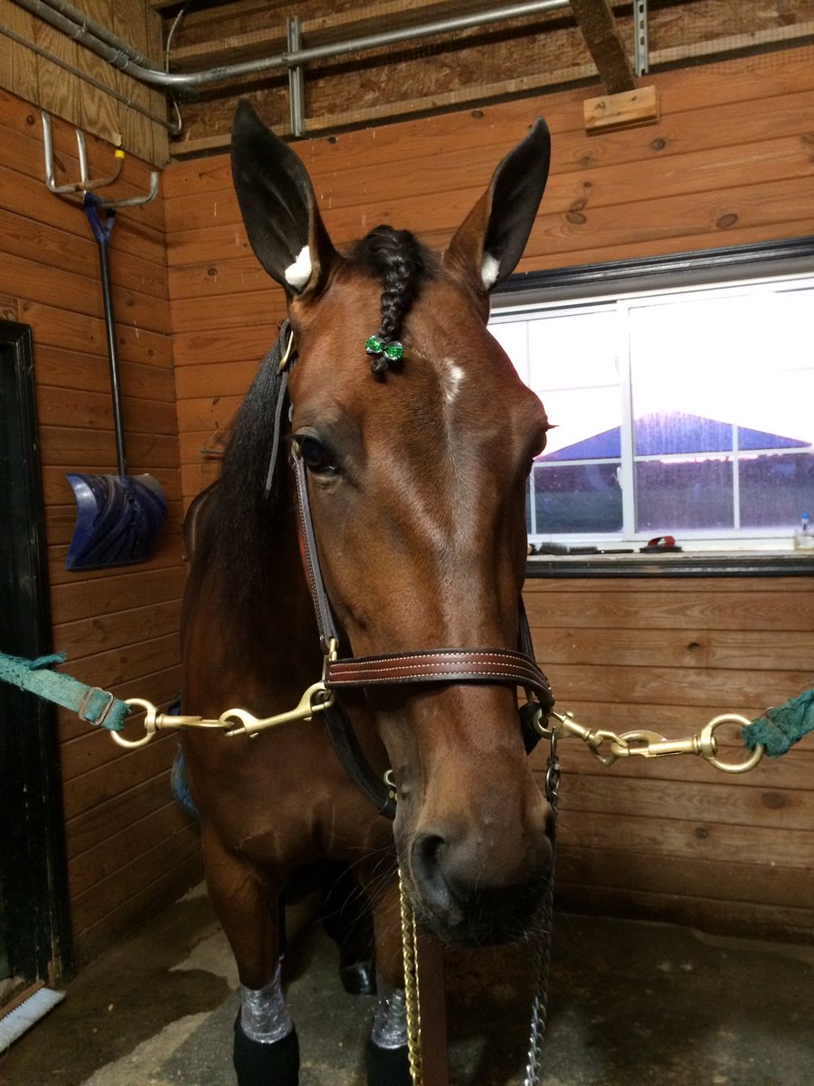 josefine_jensen's tweet photo. Fineste Becky Lindy vandt sit babyrace på 59,3 idag 💗 #EngblomStable https://t.co/mpAeOgQPiR