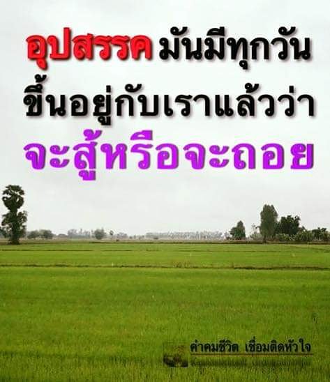 KCharintip's tweet photo. 🏳️‍🌈ดูดวงไพ่ยิปซี🏳️‍🌈 #การงาน#การเงิน#ความรัก  🚩ค่าครู ๙๙บ.🚩

ติดต่อ📲 /เพจ: Kob-Charintip /line🆔️ kob7289 / IG: Kob Charintip / CT Apartment รามอินทรา32 ห้อง111 https://t.co/Jz6Tr9I8AZ
