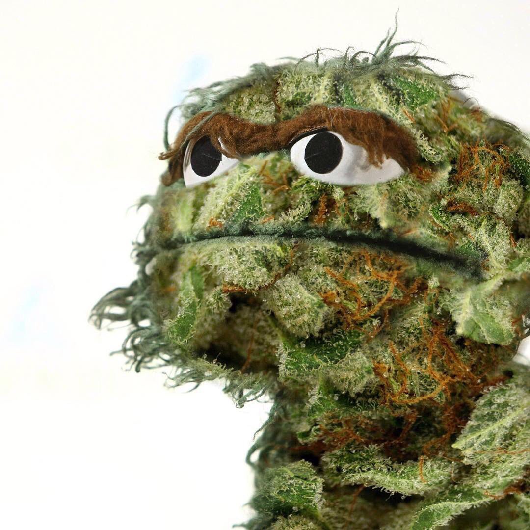 Feelin GROUCHY?? Smoke a bowl! #herbinladies #oscarthebud #weedkweenz #smokeweedeveryday