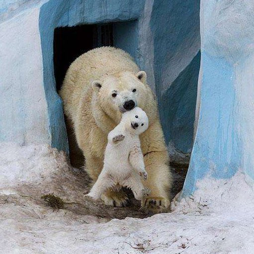 In six words or fewer, write a story about this photo.
#sixwordstory #amwriting #FathersDay