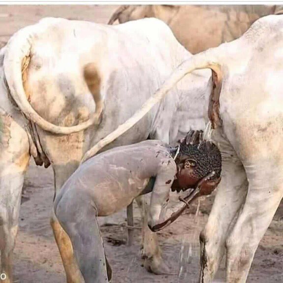 Sidick_Soum's tweet photo. Une image pleine de sens . 
Si t’es vraiment africain ou une personne de cœur. 
Pries pour tous ces pays qui souffrent du manq d’eau. 🙏🏿😭🤲🏿🤲🏿 https://t.co/SnWzcNOX7Q