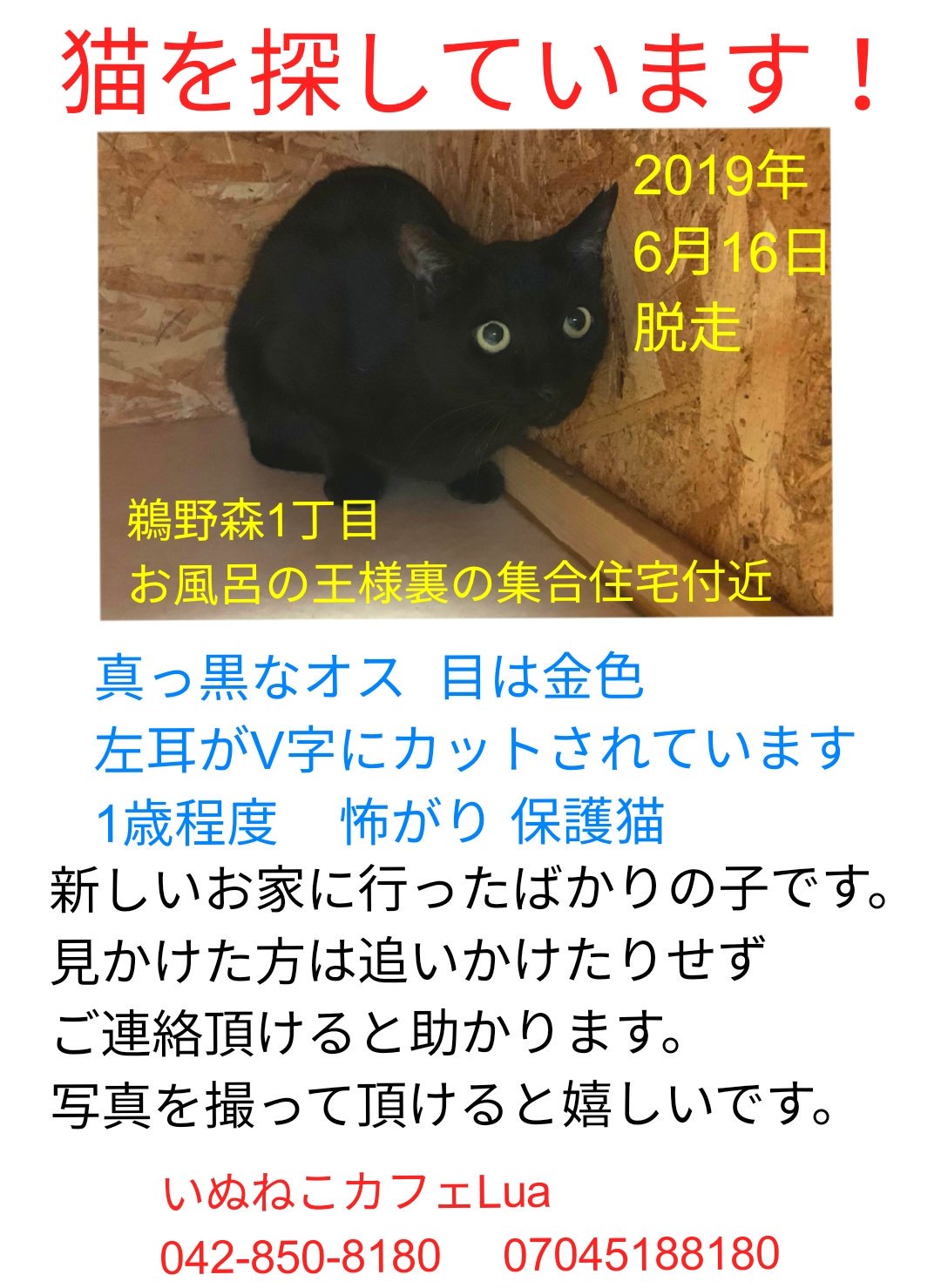 はるまき Eirgc Twitter