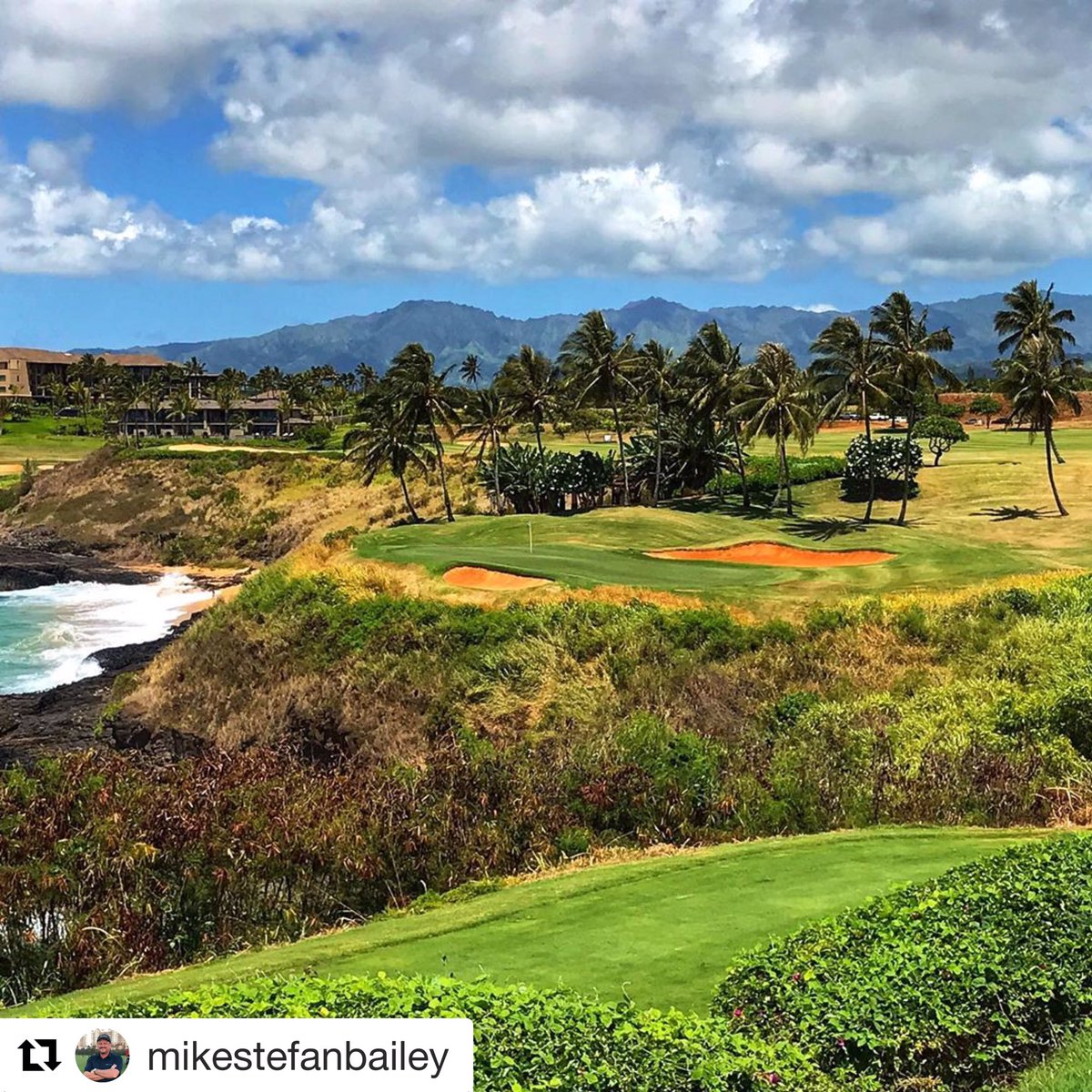 GoGolfKauai.com tweet media