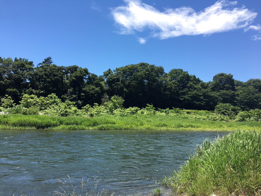 多摩川養殖つり堀場でマスが釣れる バーベキューは河辺下グラウンド 多摩川河川敷 が無料の超穴場 Kirei Basic きれいベーしっく