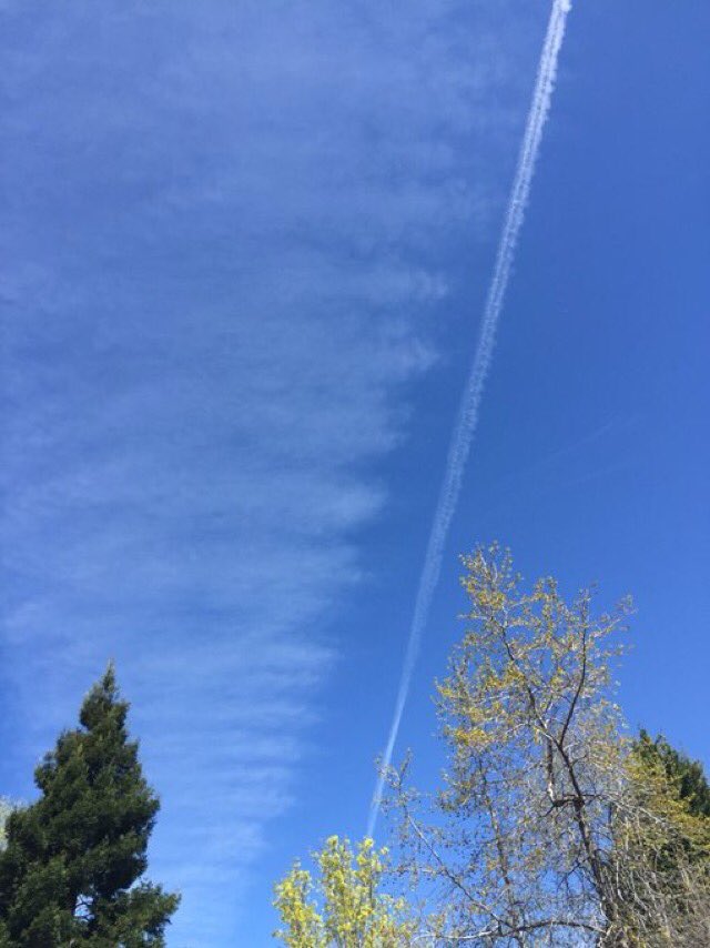 GreggwilsonB's tweet image. #ManMadeClimate