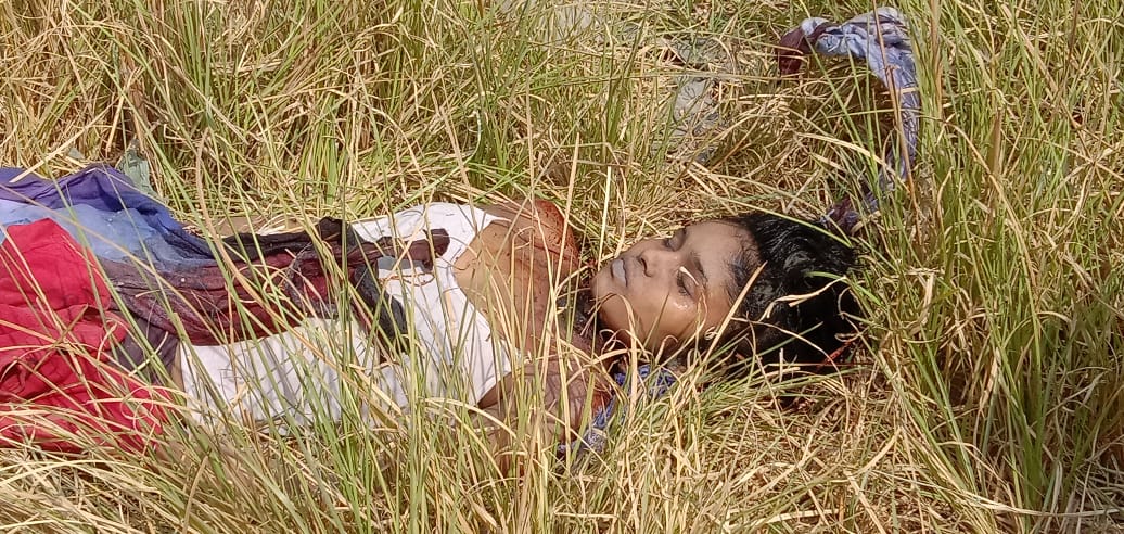 DSPDev3's tweet image. 