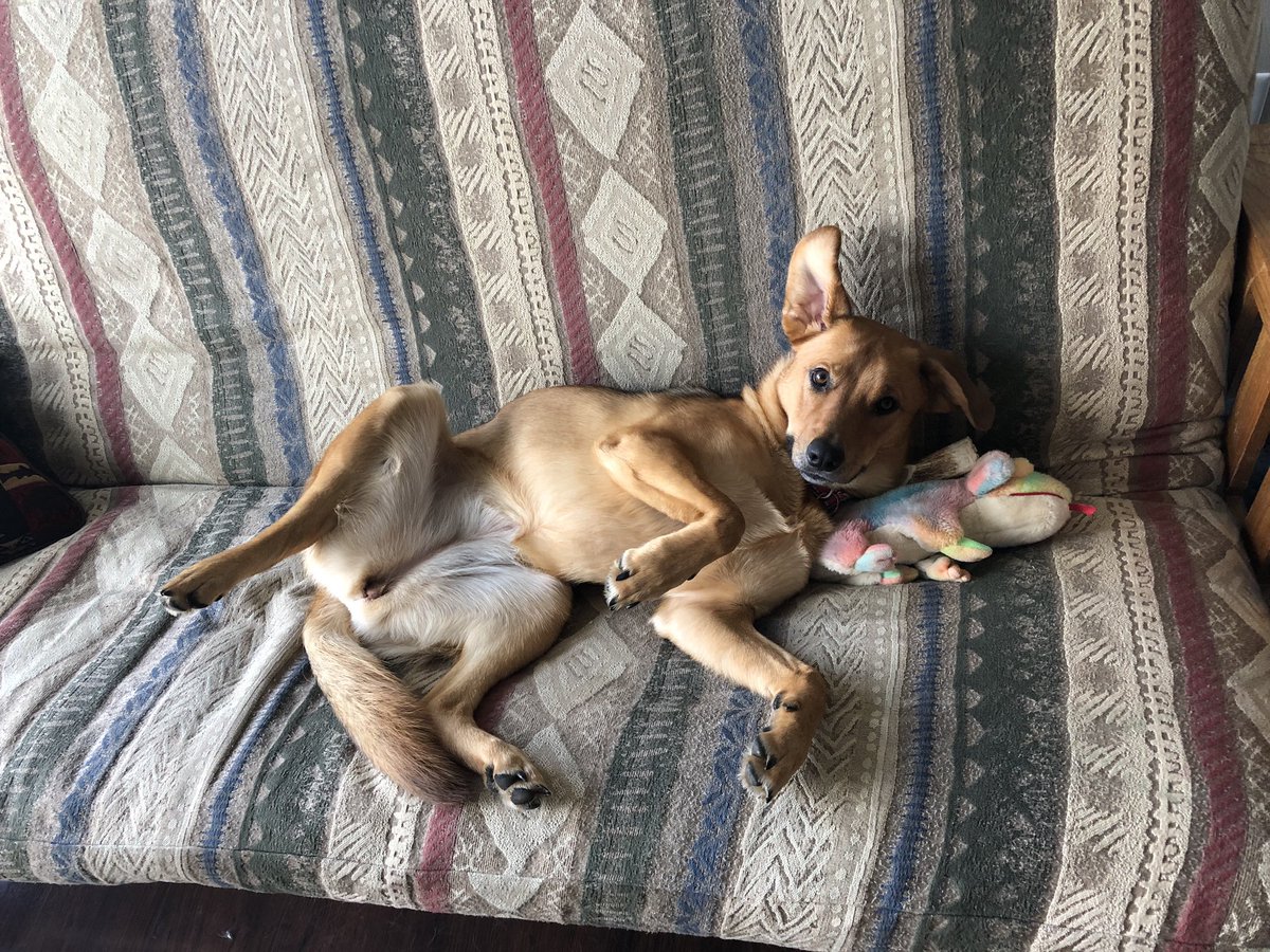 amcmahon1026's tweet photo. “Paint me like one of your French girls” https://t.co/4Xg7iOJQqG