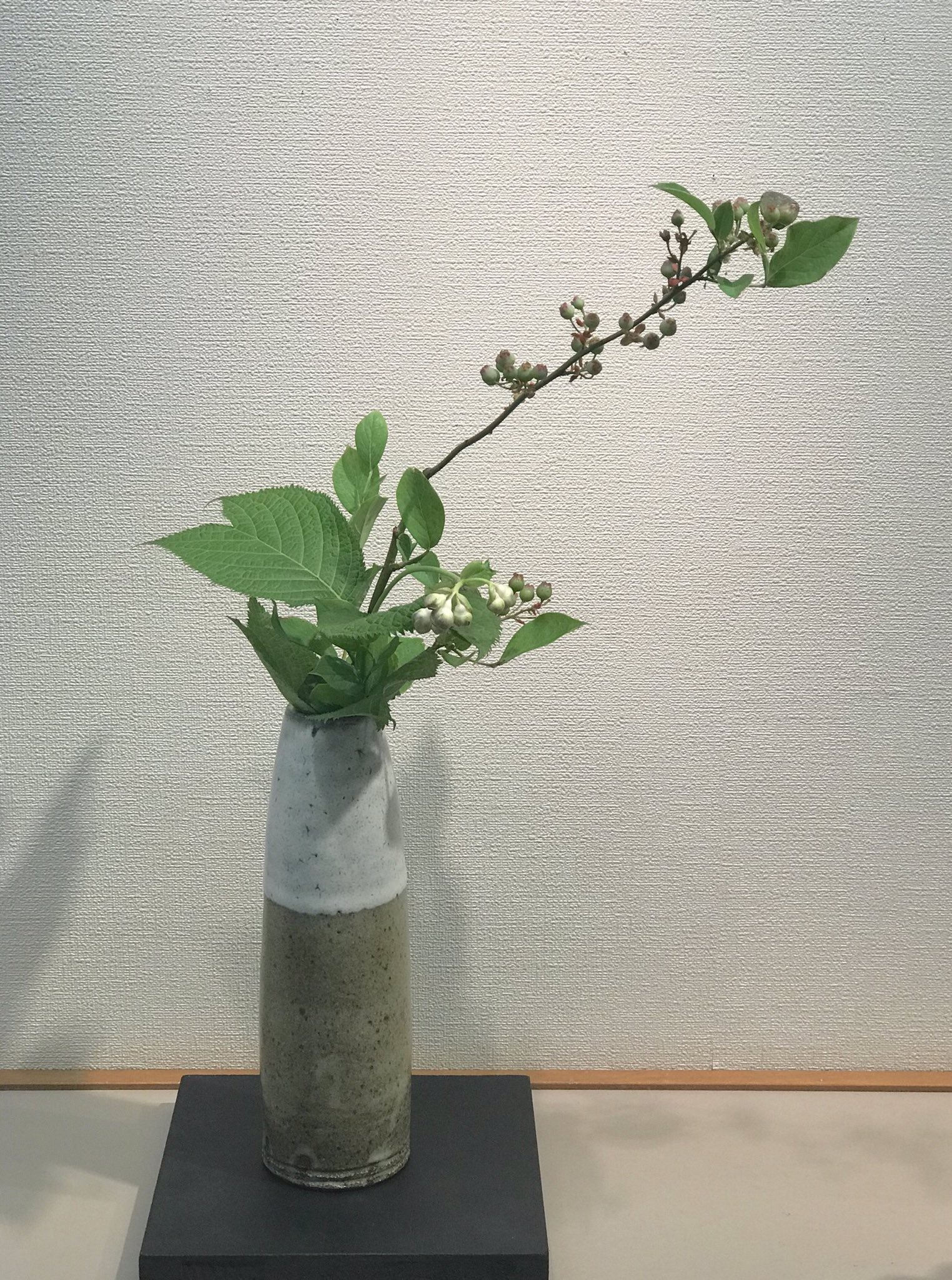 中野 純 この金沢展では 山村御流 芳美会の辻芳美先生が添え花をしてくださいました 金沢ではまだあまり知られていない山村の花 合わせて楽しんでいただけたらと思います 中野純陶芸展 山村御流 花材 ブルーベリー 青花ギンバイソウ 花器 藁灰釉