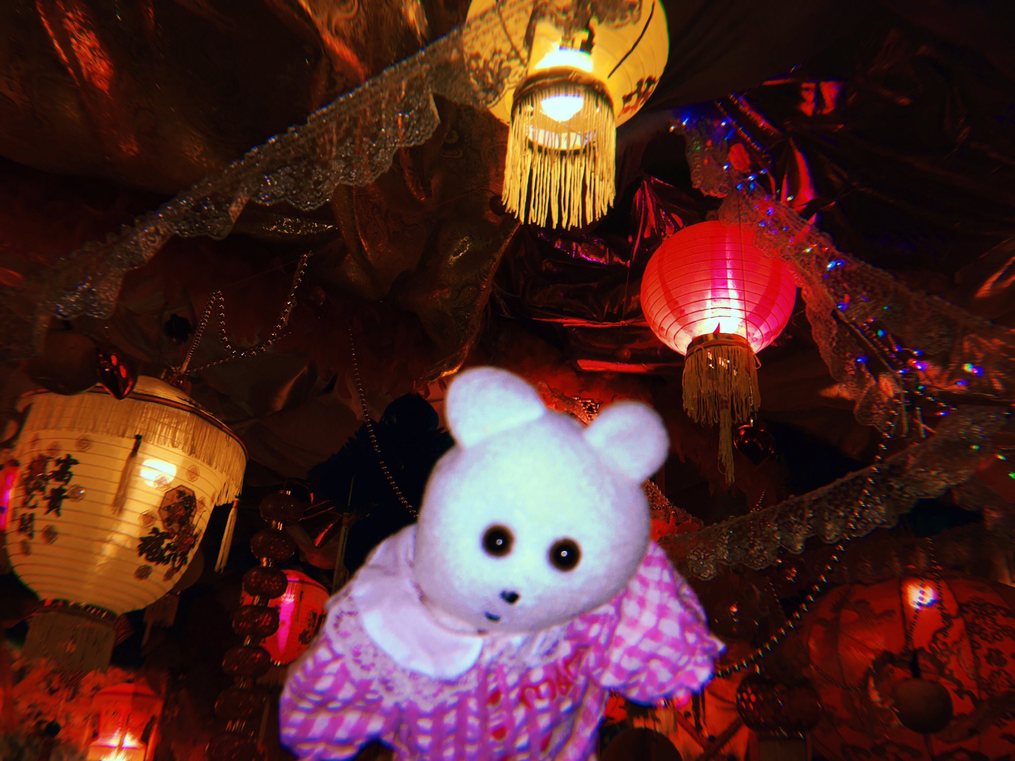 くまきち on X: 
