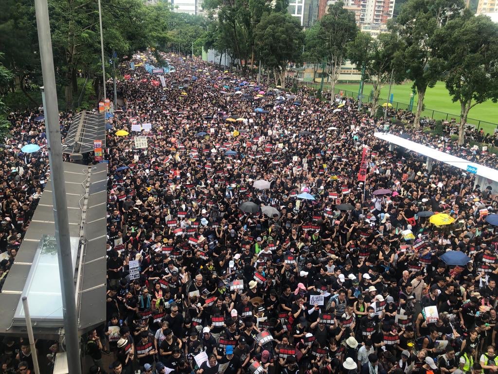 Andrew Stevens tweet media