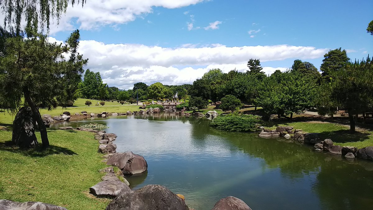 たいせ 6月中旬のいせさき市民のもり公園 伊勢崎 伊勢崎市 いせさき市民のもり公園 たいせ 6月中旬のいせさき市民のもり公園 伊勢崎 伊勢崎市 いせさき市民のもり公園