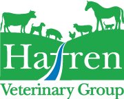 dpj_9's tweet photo. I would like to thank our Cadair Idris sponsors Hafren Vets Farm &amp; Equine - thank you for your support! Picture to follow!! 💛💛💛 #ItsOkNotToBeOk #sharetheload #9peaksin72hours https://t.co/QQUkzV21sl
