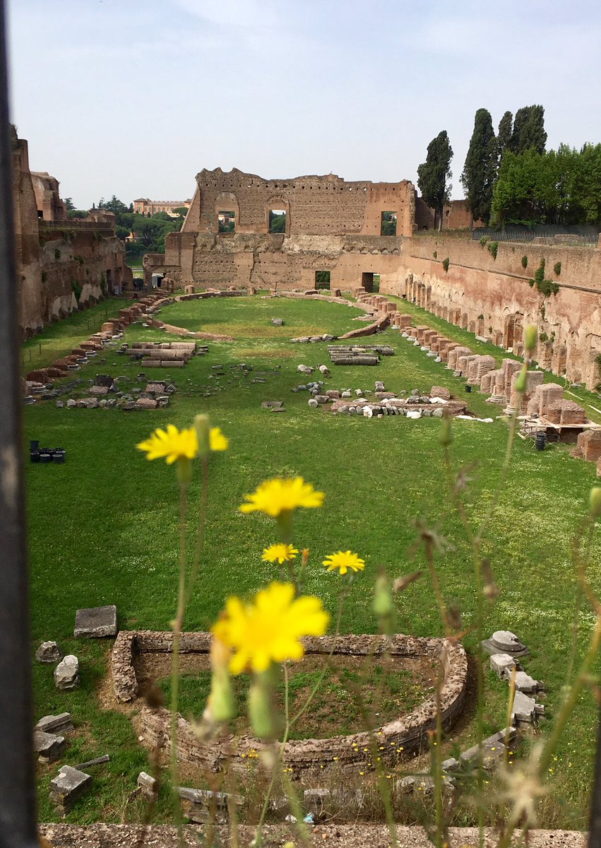 caputmundiHeidi's tweet photo. Stadio di Domiziano
Palatino 
#Rome
#RomeisUs https://t.co/EteMlpnoUv