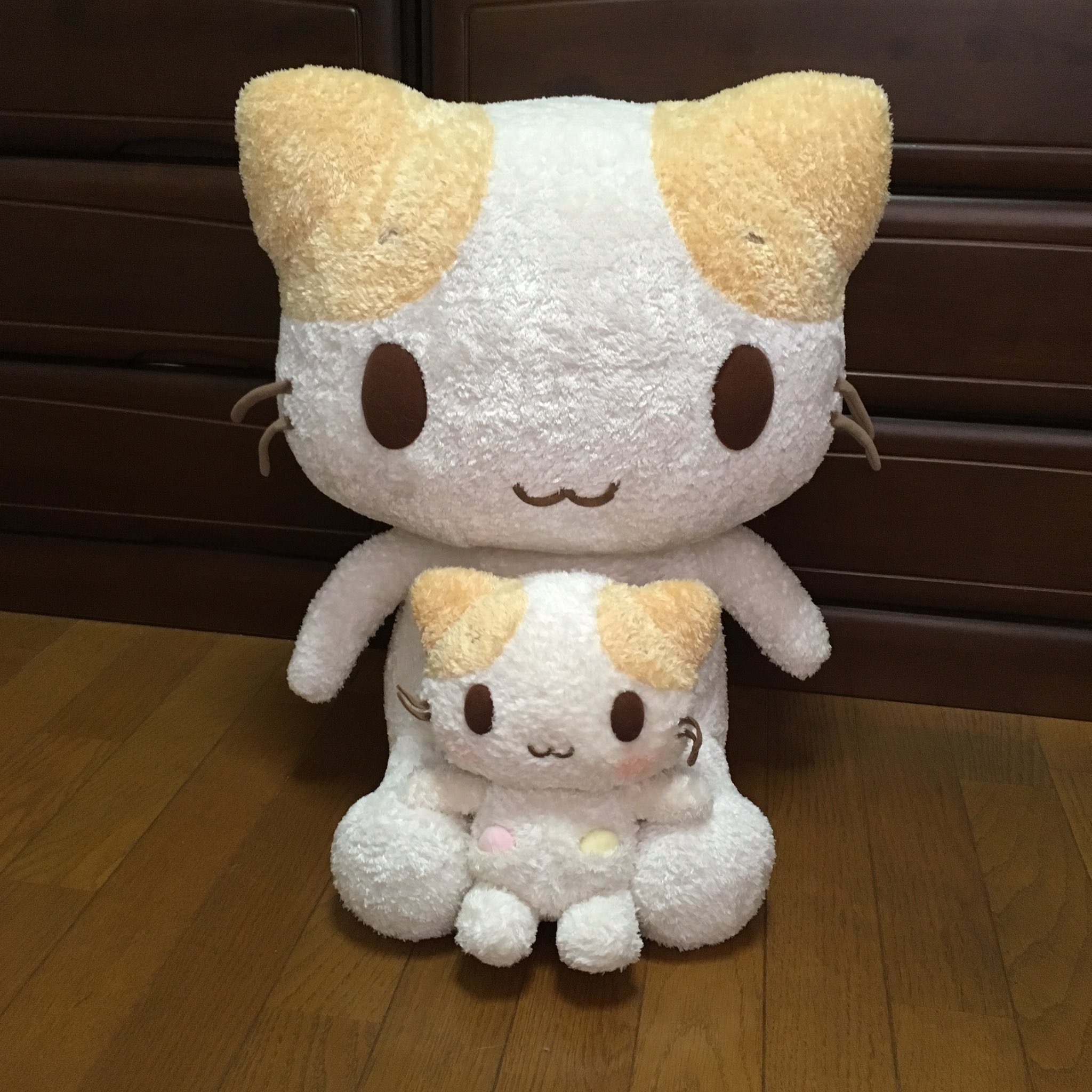 マシュマロみたいなふわふわにゃんこ SANRIO(一時休止中 マシュマロみたいなふわふわにゃんこ SANRIO(一時休止中