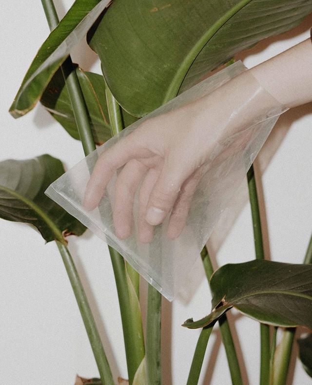 jacknjuleslife's tweet photo. The main cause for the increase in plastic production is plastic packaging. Plastic packaging was 42% of all non-fiber plastic produced in 2015, and it also made up 52% of plastics thrown away.⠀
.⠀
If we as consumers make a conscious effort to bring … https://t.co/bXhkflc0Yo https://t.co/fS29JJib2t