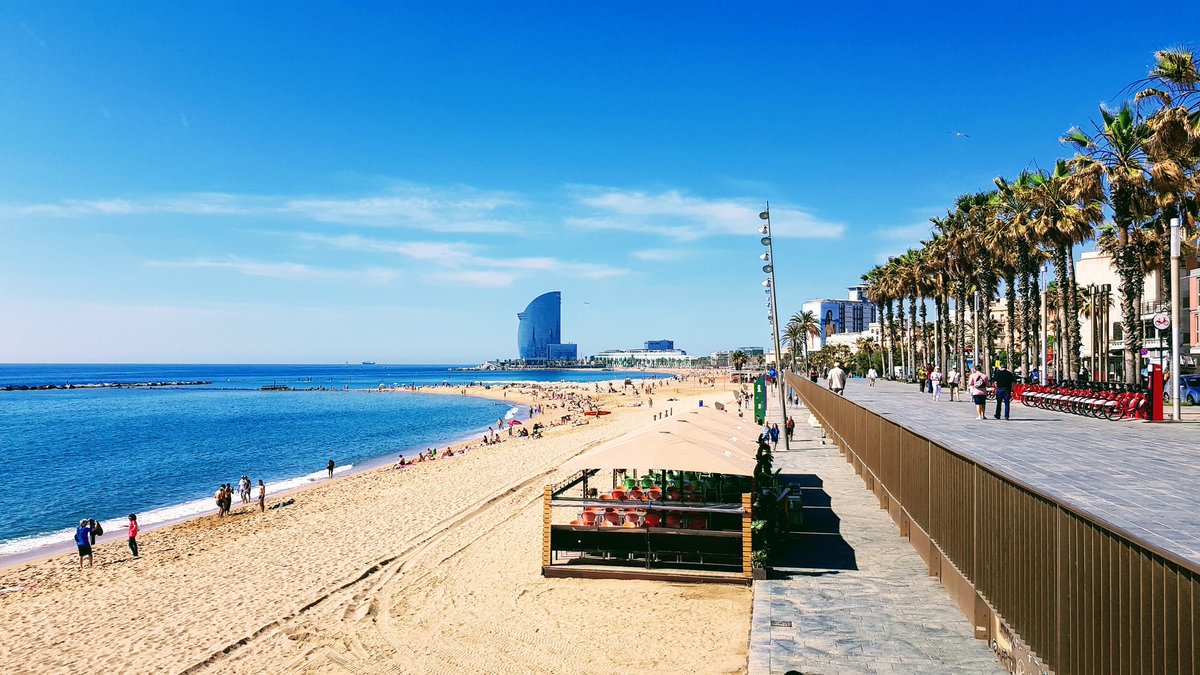 m_torrell's tweet photo. Hoy domingo os saludo más tarde en horario seguro. Bon dia desde Barcelona. https://t.co/OsWgwUj0Bo