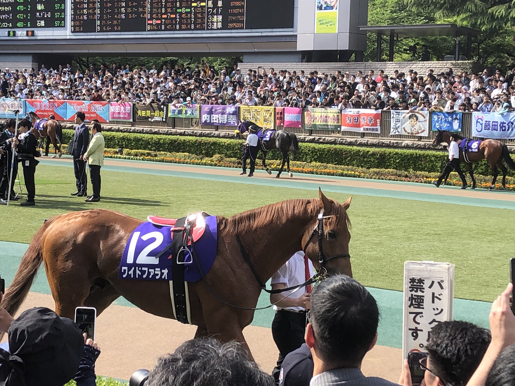 てくも on Twitter