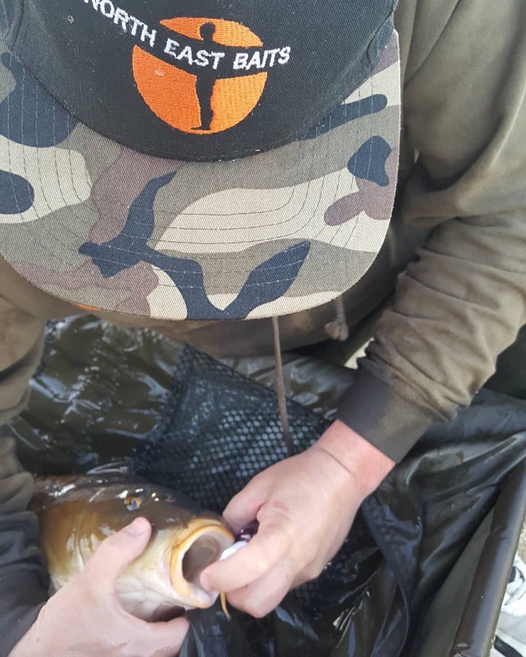 Dave young puts a lovely common on the bank from Berners Hall fisheries.