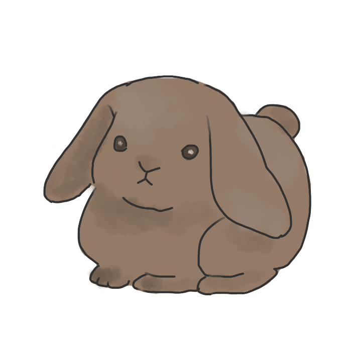 めぐパンダうさぎコアラ Twitter Search