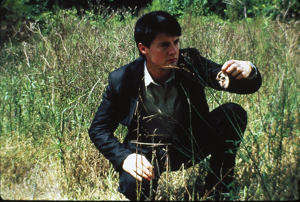 FilmlandForum's tweet photo. Blue Velvet (1986) Dir. David Lynch https://t.co/fWKqLwx10X