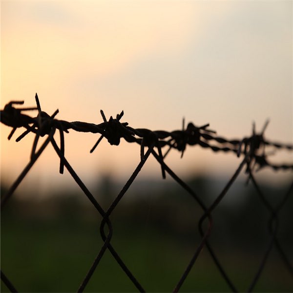 "هل تظنّ ان هذه العوائق التي بيننا.. لم تؤلمني؟"