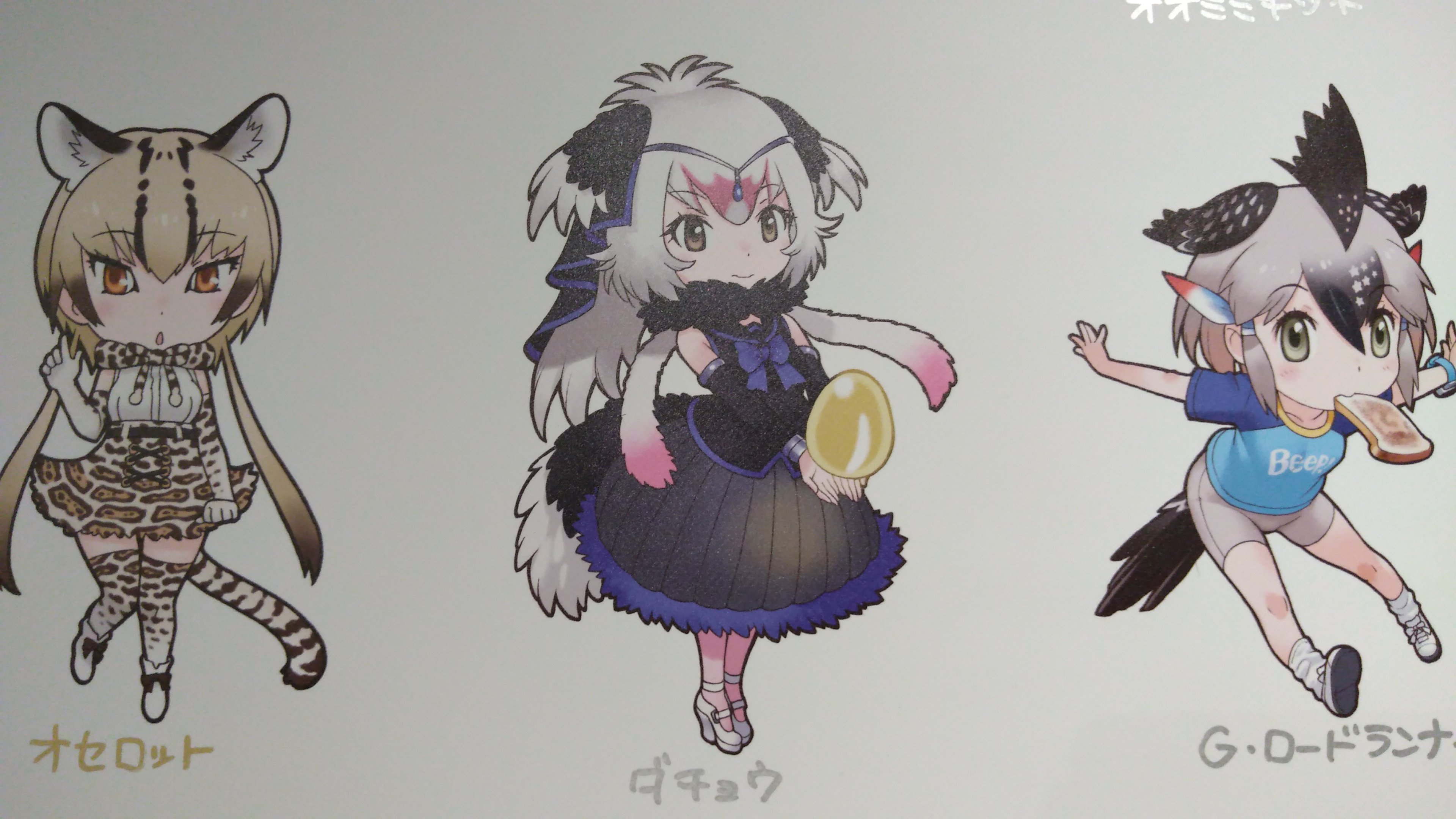 七瀬 コツメカワウソ コアラ けものフレンズわーるど T Co Qoemmsgnhf Twitter