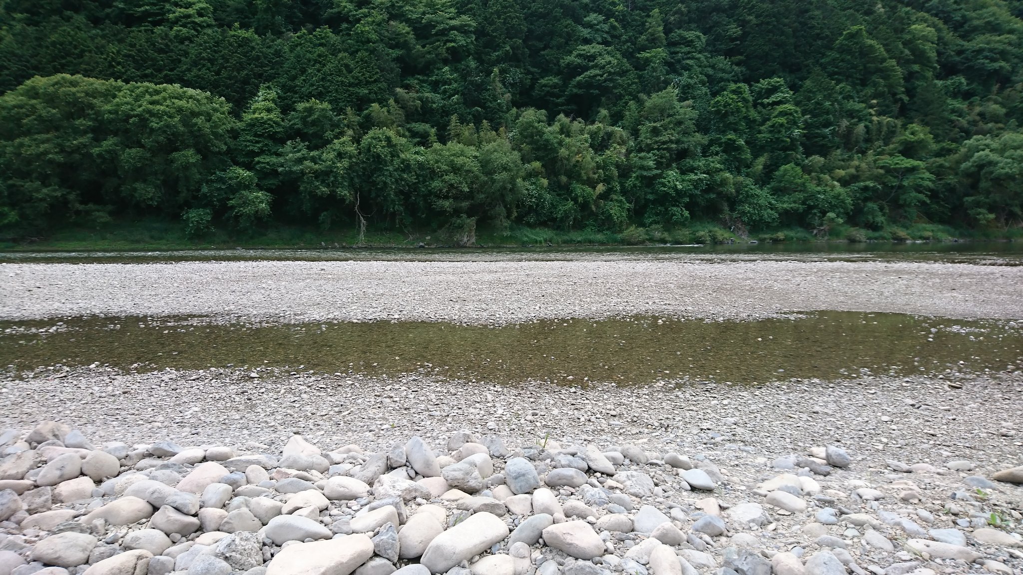 M 旭川ダム中島公園 昨日の雨で多少の増水はしてるが 上流域で丘っぱりは水位安定せず食いは渋い 美咲町中島公園 旭川ダム アブガルシア ロキサーニ 丘っぱりバス釣り ジョイクロ M 旭川ダム中島公園 昨日の雨で多少の増水はしてるが 上流域で丘っぱりは水位安定せず食いは渋い 美咲町中島公園 旭川ダム アブガルシア ロキサーニ 丘っぱりバス釣り ジョイクロ
