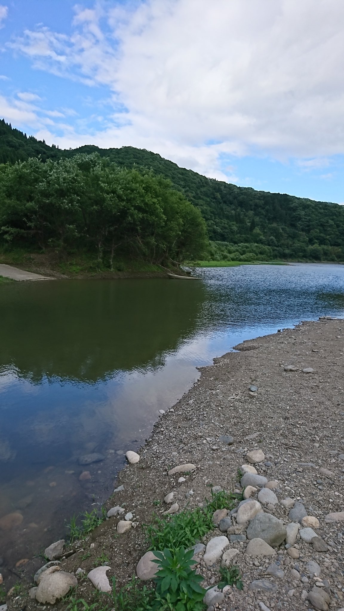 M 旭川ダム中島公園 昨日の雨で多少の増水はしてるが 上流域で丘っぱりは水位安定せず食いは渋い 美咲町中島公園 旭川ダム アブガルシア ロキサーニ 丘っぱりバス釣り ジョイクロ M 旭川ダム中島公園 昨日の雨で多少の増水はしてるが 上流域で丘っぱりは水位安定せず食いは渋い 美咲町中島公園 旭川ダム アブガルシア ロキサーニ 丘っぱりバス釣り ジョイクロ