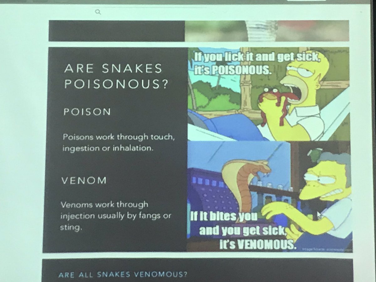 altanai's tweet photo. #quorameetup #juntomeetup learning more about snakes and anti venom https://t.co/ku5ygdrQdJ