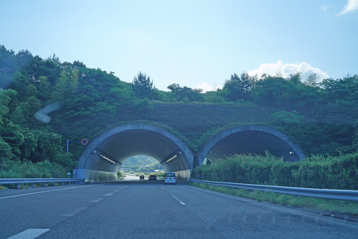 yousakana's tweet photo. 世にも珍しい高速道路の上にある古墳。
徳島と香川の間の高速道路の上に覆い被さるように前方後円墳『大代古墳(おおしろこふん)』があります。
#徳島 #鳴門
#瀬戸内古墳航海録 #瀬戸内 #瀬戸内海 #四国 #setouchi #setouchitrip #setouchifood #setouchiisland #setoinlandsea #japan https://t.co/DulQz7ZmwC