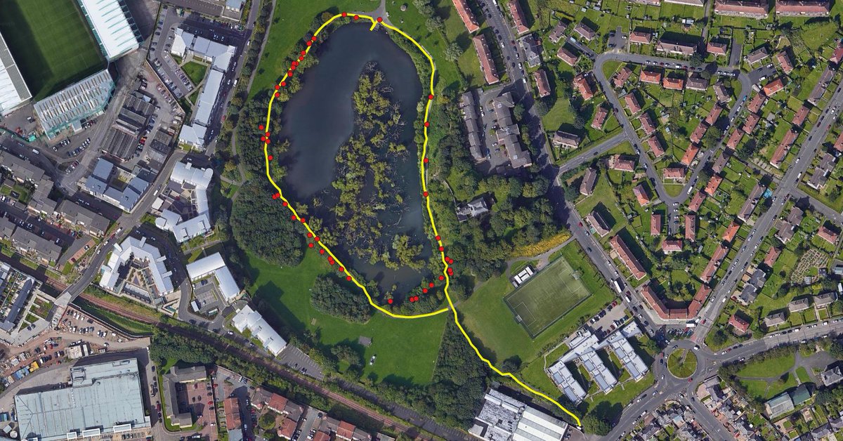 Graham (@graham1922) on Twitter photo Common and Soprano Pipistrelle recording locations around Lochend Park, based on 4 circuits and then walking out. C Pip (pink dots) on the go first, then declined as S Pip appeared. Great dusk views, bats must be roosting close by. <a href="/EdinWildlife/">Edinburgh Biodiversity</a> <a href="/EdinburghNats/">ENHS</a> <a href="/LochendPark/">FriendsOfLochendPark</a> Common and Soprano Pipistrelle recording locations around Lochend Park, based on 4 circuits and then walking out. C Pip (pink dots) on the go first, then declined as S Pip appeared. Great dusk views, bats must be roosting close by. <a href="/EdinWildlife/">Edinburgh Biodiversity</a> <a href="/EdinburghNats/">ENHS</a> <a href="/LochendPark/">FriendsOfLochendPark</a>