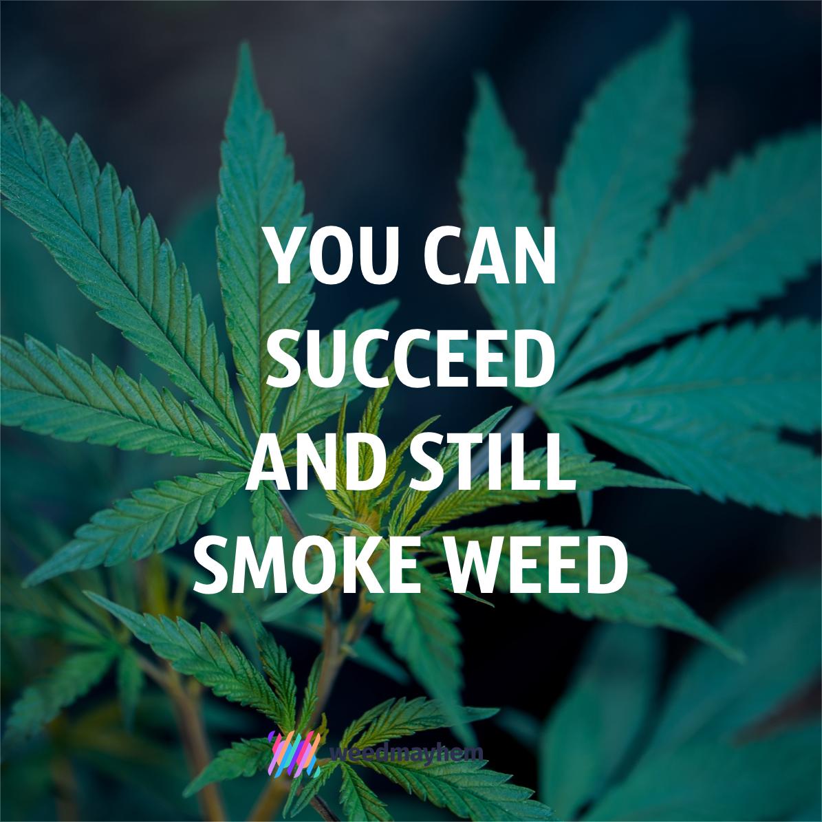 weedmayheminc's tweet photo. It is the first platform to allow live credit card transactions for products that do not contain THC alongside the display of marijuana products
Coming Soon https://t.co/cjVqUnlDZ0 https://t.co/GK4yNZkkTI