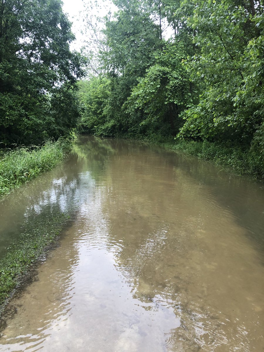 Tow path trail in Akron Ohio flooded. #summitcountymetroparks #cleveland19