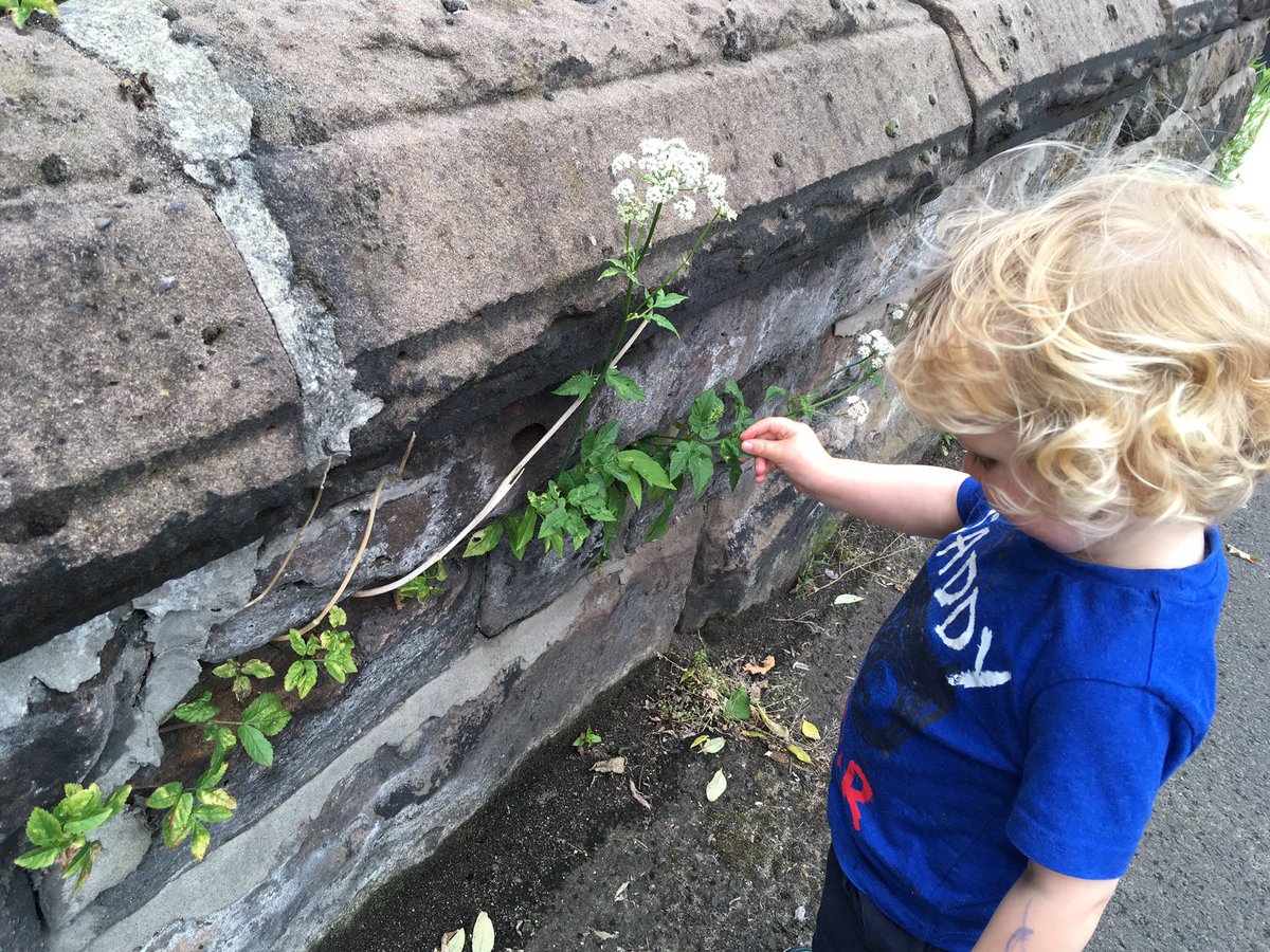Broad26C's tweet image. Day 4 and 5 of #30dayswild  - look at the clouds and spot mini wildlife. Did anyone else in Year 4 @NewMillsPrimary find a break in the rain for their #randomactsofwildness?!