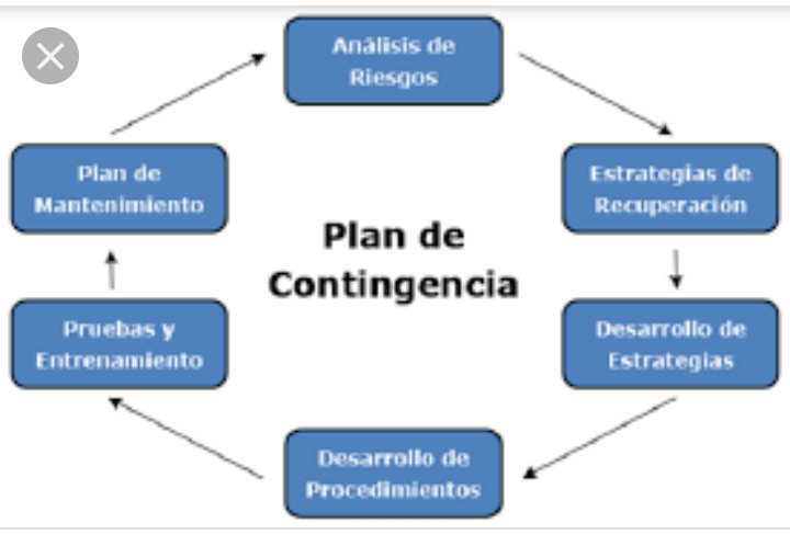 Plan de adelgazamiento personalizado gratis