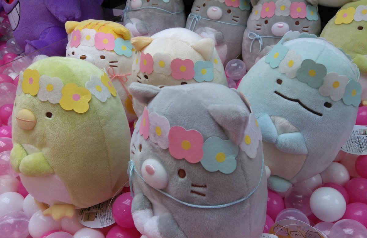 Uzivatel アドアーズ札幌北42条店 景品情報 Na Twitteru すみっこぐらし ねこのきょうだいぬいぐるみ登場です 景品 Ufoキャッチャー すみっこぐらし ぬいぐるみ